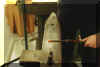 ambos.JPG (168802 Byte)